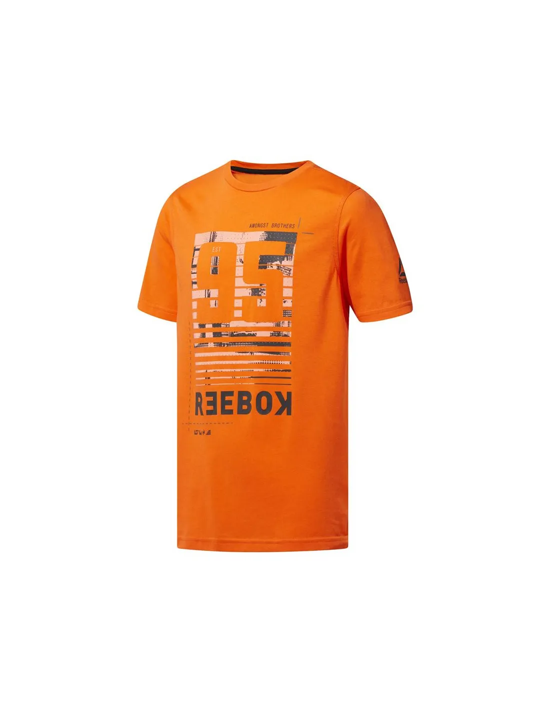 Camiseta Sportswear Reebok Rebelz