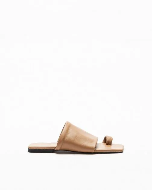 Chanclas de dedo PROF 2356 Camel