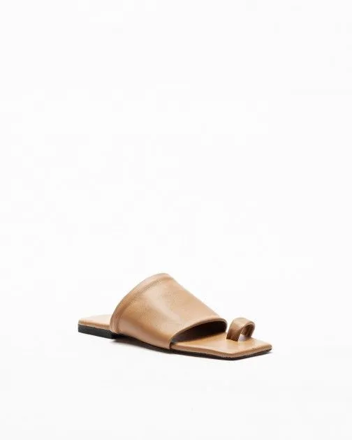 Chanclas de dedo PROF 2356 Camel