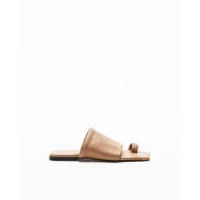 Chanclas de dedo PROF 2356 Camel