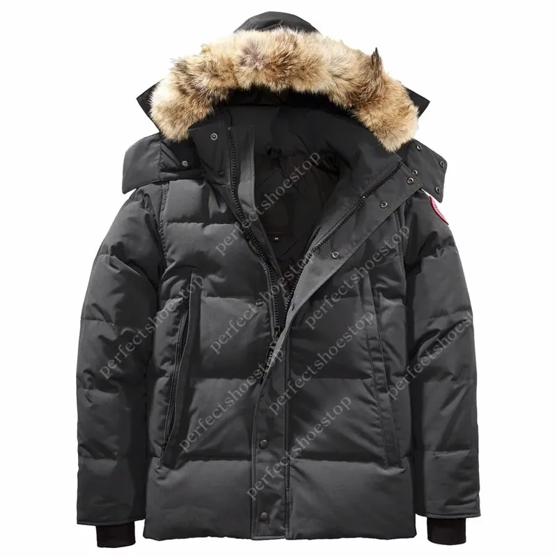 Chaqueta de pachilla Canadá chaqueta de invierno abrigo