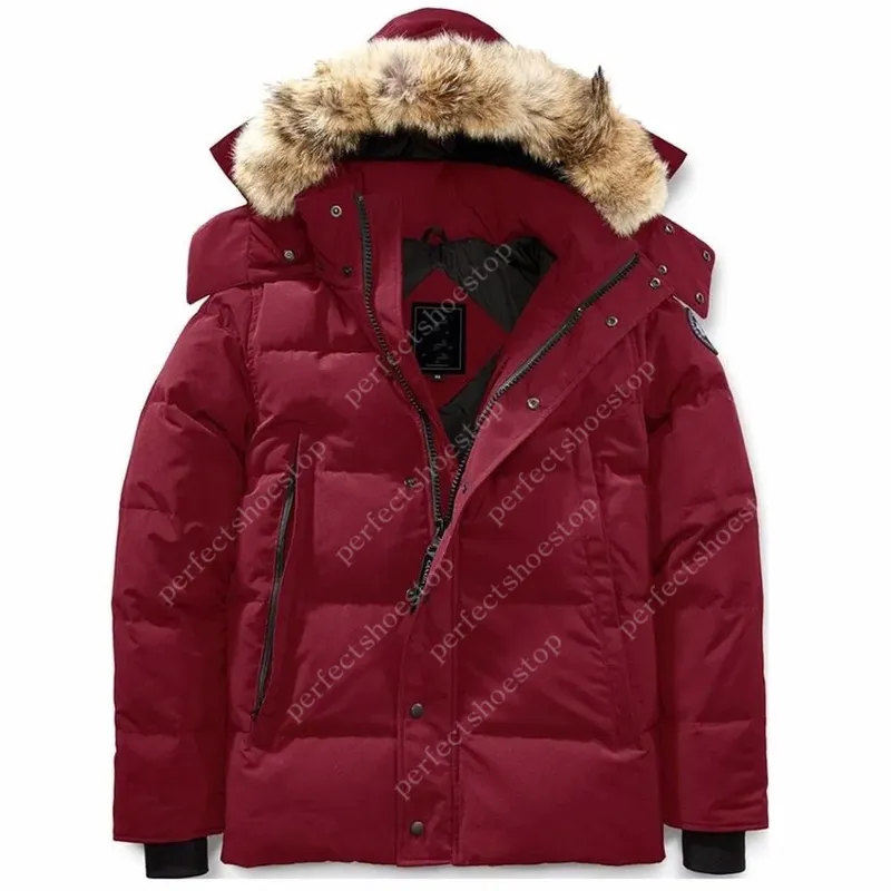 Chaqueta de pachilla Canadá chaqueta de invierno abrigo