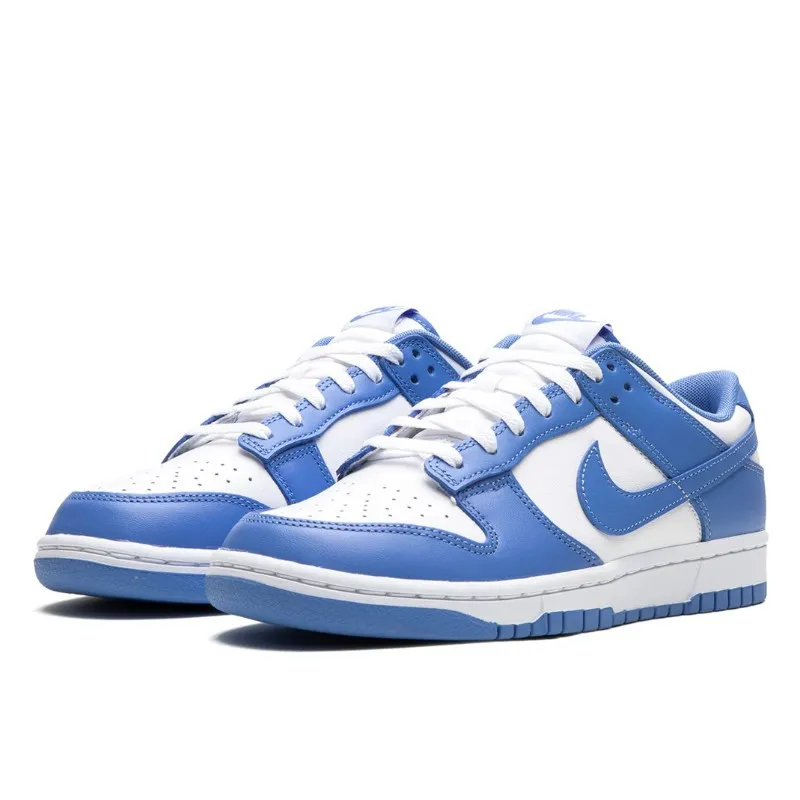 Nike Dunk Low Polar Blue