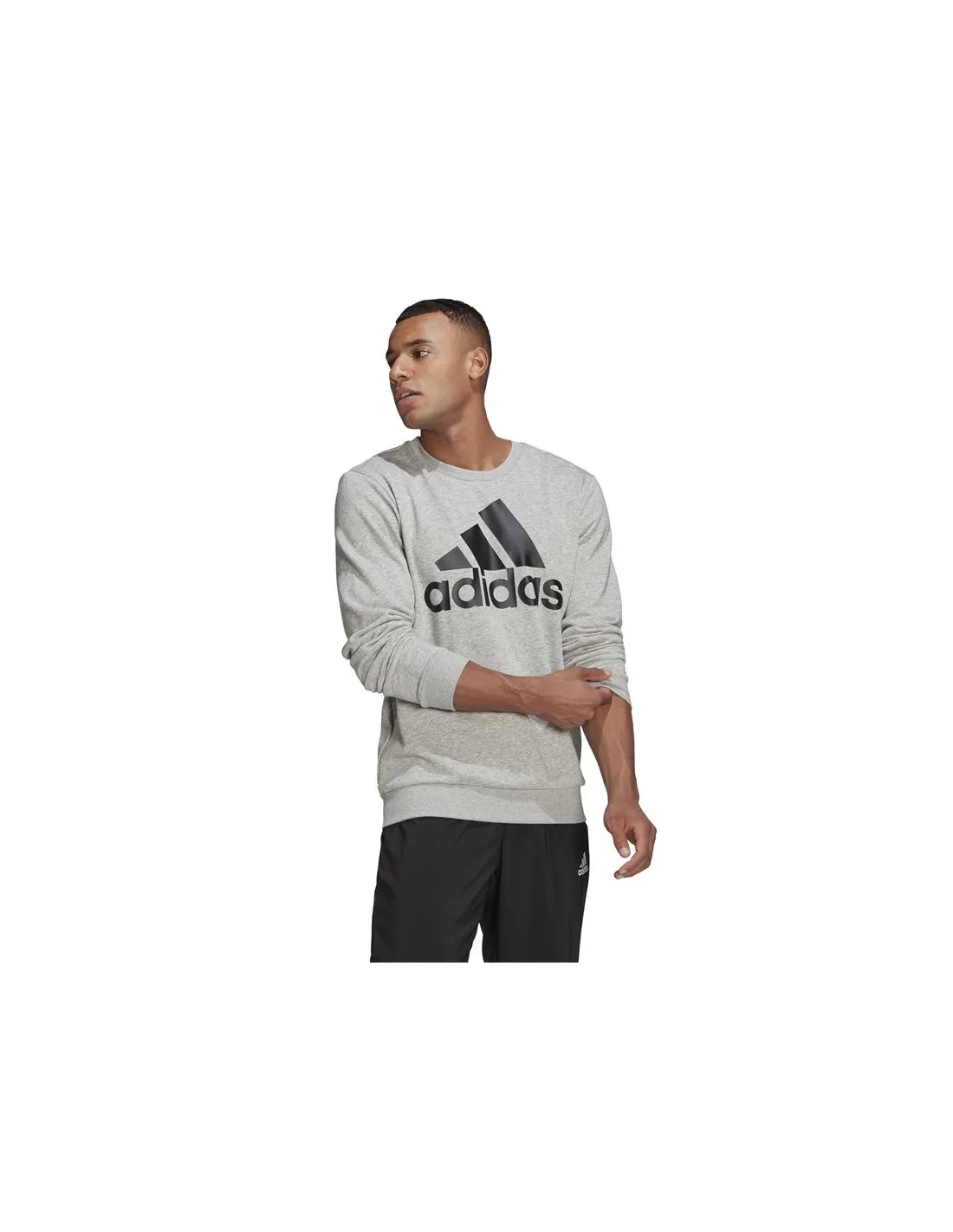 Sudadera adidas Essential Big Logo M Medium Grey